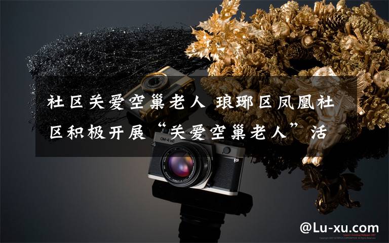 社区关爱空巢老人 琅琊区凤凰社区积极开展“关爱空巢老人”活动