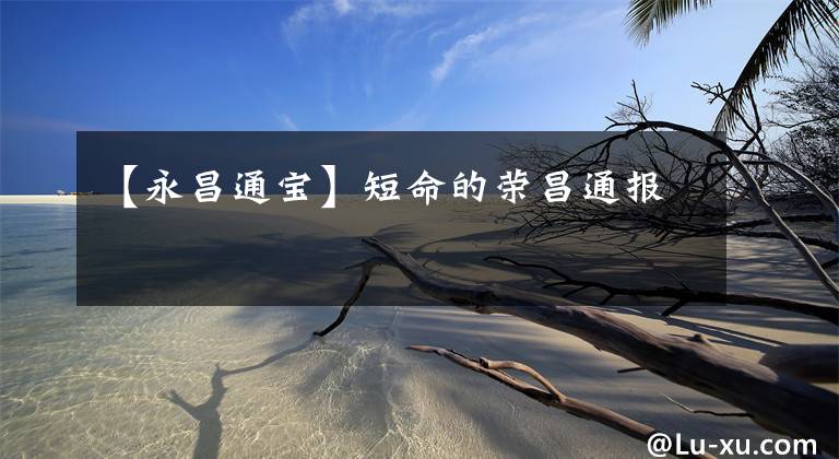 【永昌通宝】短命的荣昌通报