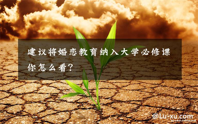 建议将婚恋教育纳入大学必修课 你怎么看?