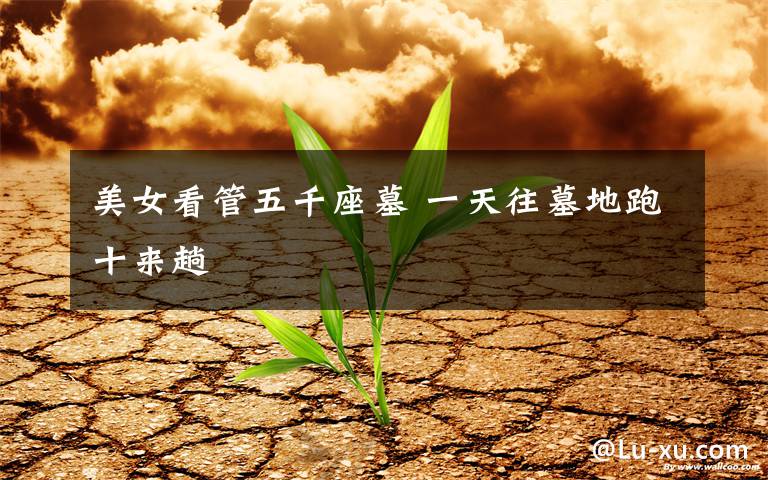 美女看管五千座墓 一天往墓地跑十来趟