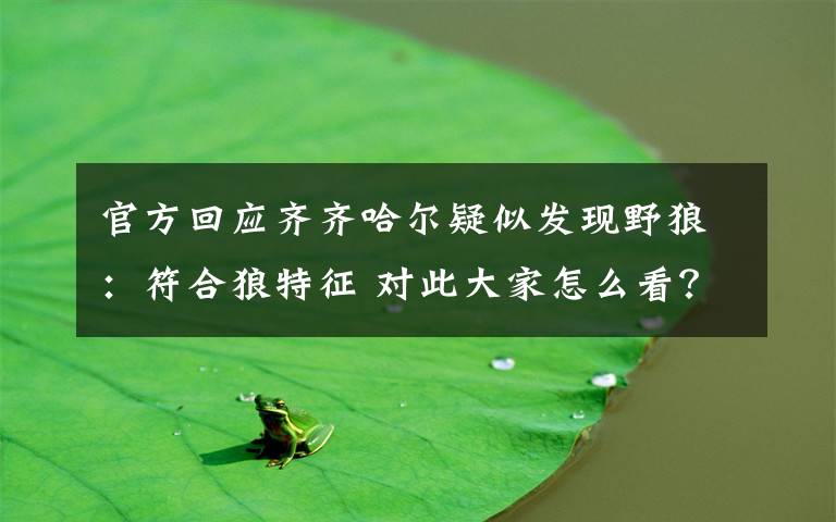 官方回应齐齐哈尔疑似发现野狼：符合狼特征 对此大家怎么看？
