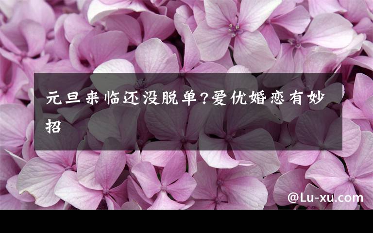 元旦来临还没脱单?爱优婚恋有妙招