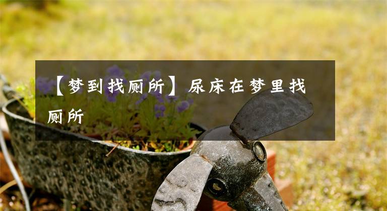 【梦到找厕所】尿床在梦里找厕所