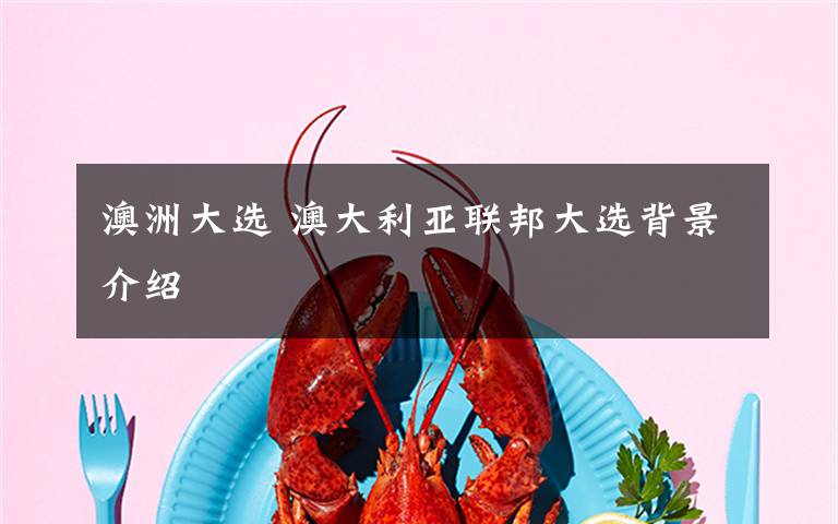 澳洲大选 澳大利亚联邦大选背景介绍