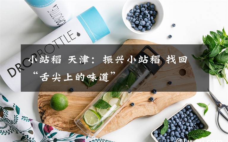 小站稻 天津:振兴小站稻 找回“舌尖上的味道”