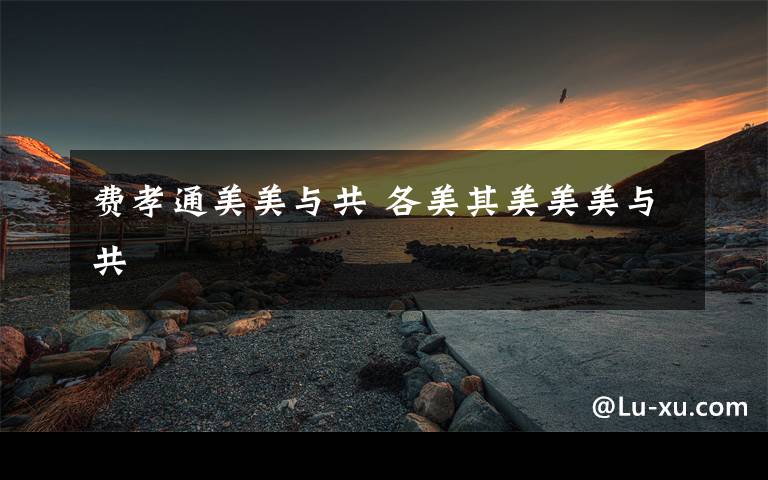 费孝通美美与共 各美其美美美与共