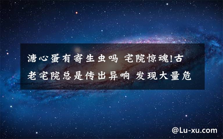 溏心蛋有寄生虫吗 宅院惊魂!古老宅院总是传出异响 发现大量危险宠物大型绿鬣蜥