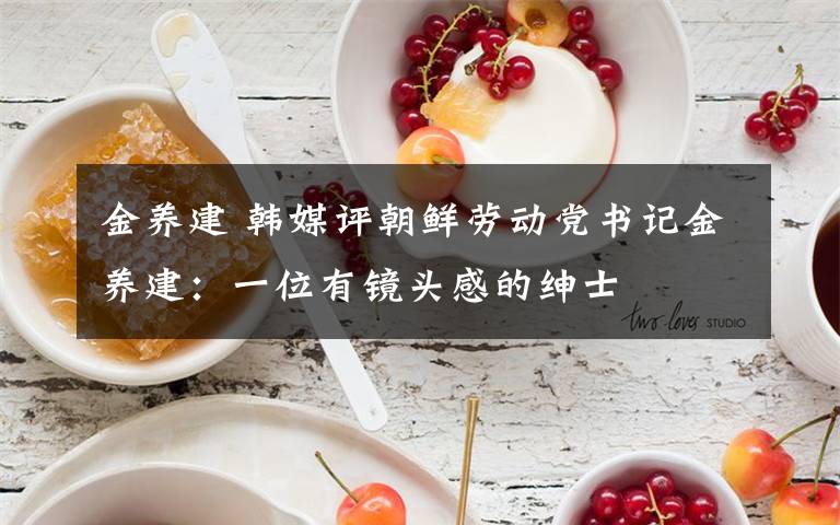 金养建 韩媒评朝鲜劳动党书记金养建：一位有镜头感的绅士