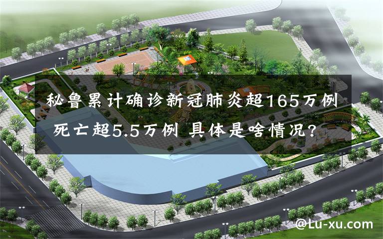 秘鲁累计确诊新冠肺炎超165万例 死亡超5.5万例 具体是啥情况?