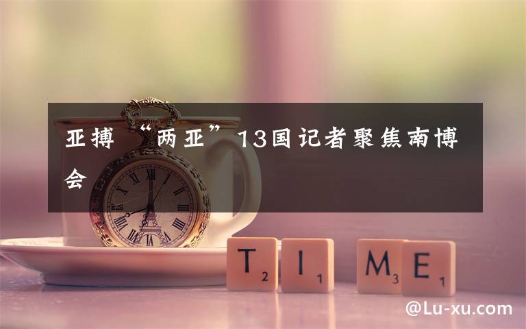 亚搏 “两亚”13国记者聚焦南博会
