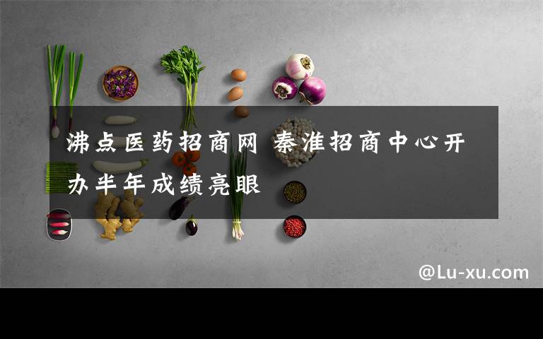 沸点医药招商网 秦淮招商中心开办半年成绩亮眼