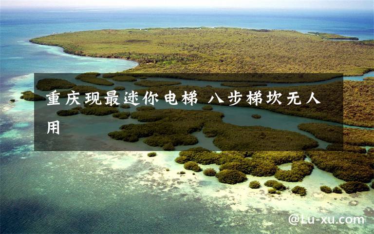 重庆现最迷你电梯 八步梯坎无人用