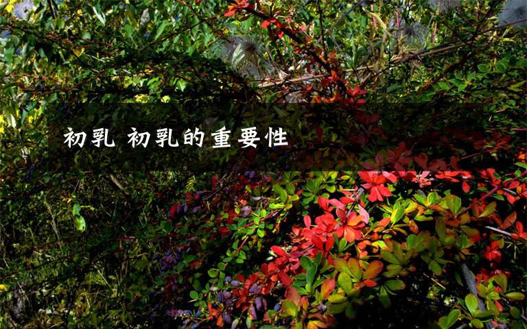 初乳 初乳的重要性