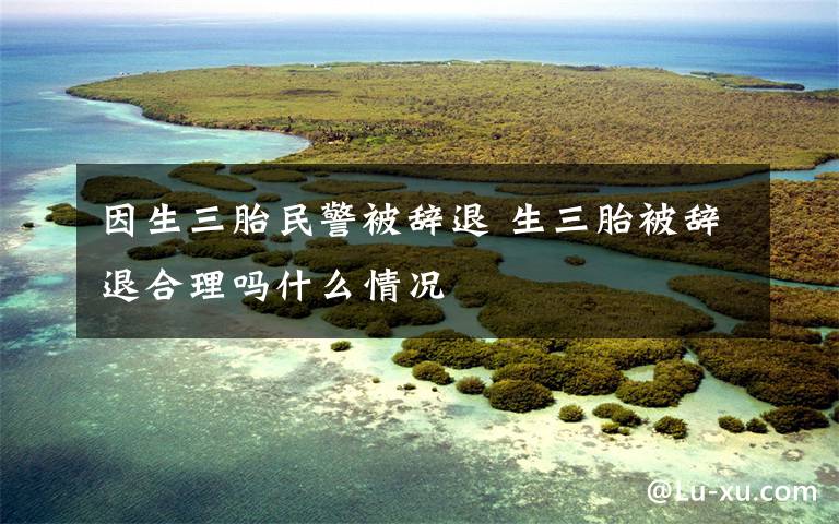 因生三胎民警被辞退 生三胎被辞退合理吗什么情况