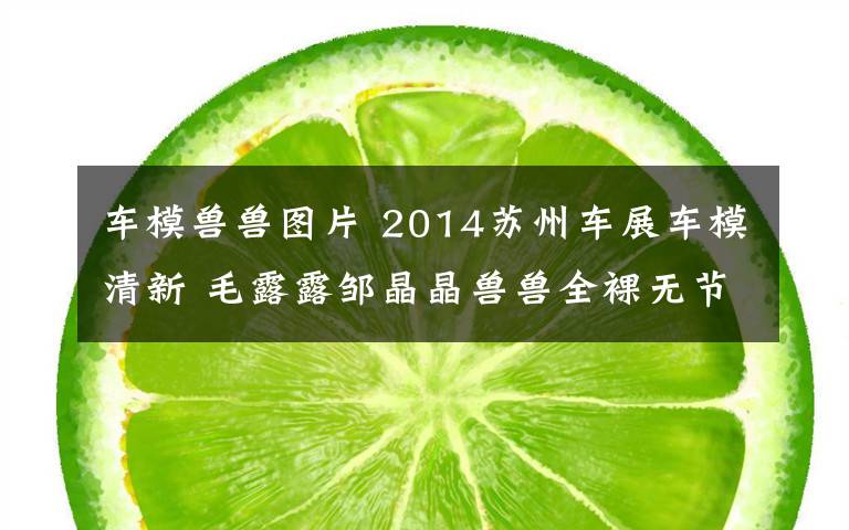 车模兽兽图片 2014苏州车展车模清新 毛露露邹晶晶兽兽全裸无节操