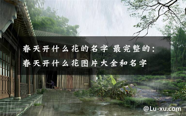 春天开什么花的名字 最完整的:春天开什么花图片大全和名字