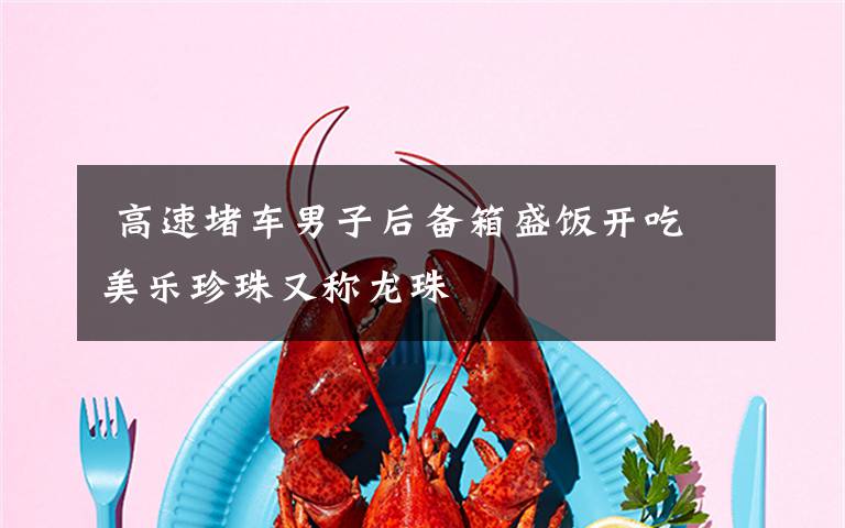 高速堵车男子后备箱盛饭开吃 美乐珍珠又称龙珠