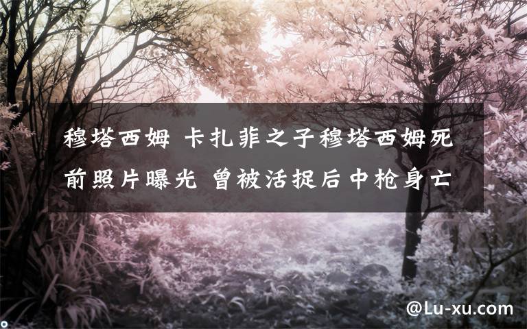 穆塔西姆 卡扎菲之子穆塔西姆死前照片曝光 曾被活捉后中枪身亡