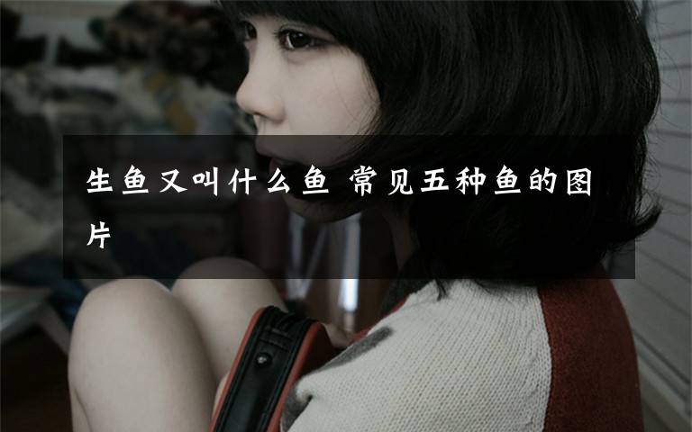 生鱼又叫什么鱼 常见五种鱼的图片