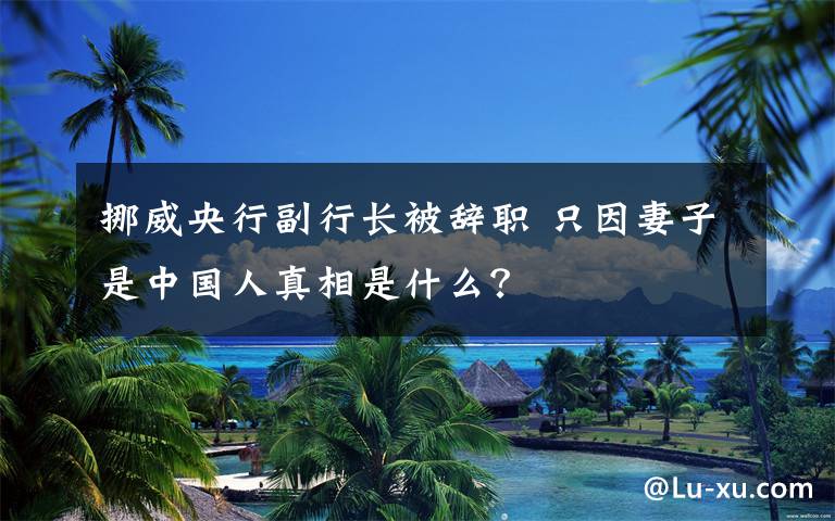 挪威央行副行长被辞职 只因妻子是中国人真相是什么?
