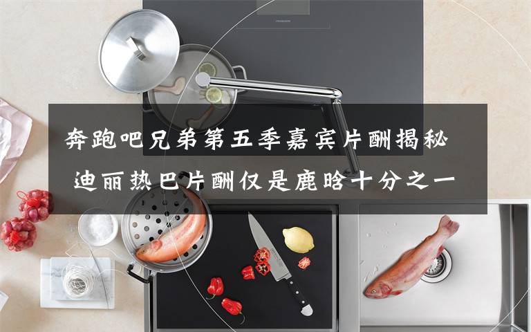 奔跑吧兄弟第五季嘉宾片酬揭秘 迪丽热巴片酬仅是鹿晗十分之一