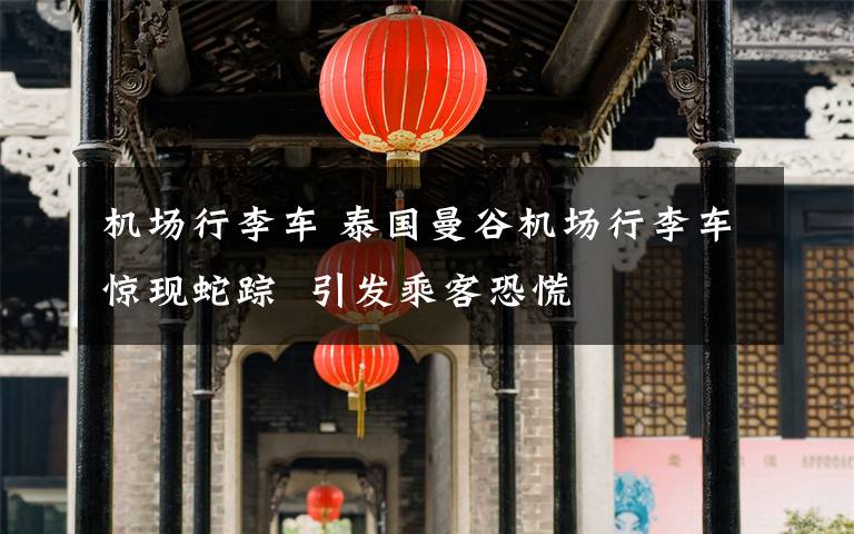 机场行李车 泰国曼谷机场行李车惊现蛇踪 引发乘客恐慌