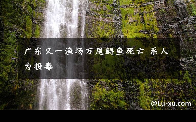 广东又一渔场万尾鲟鱼死亡 系人为投毒