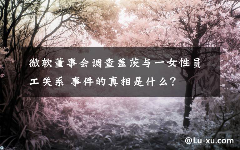 微软董事会调查盖茨与一女性员工关系 事件的真相是什么?