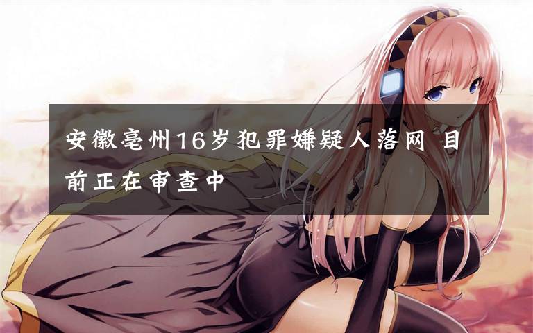 安徽亳州16岁犯罪嫌疑人落网 目前正在审查中
