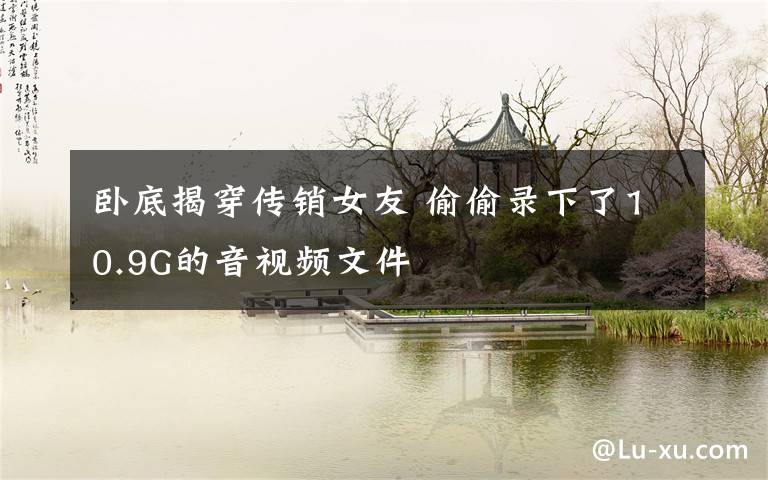 卧底揭穿传销女友 偷偷录下了10.9G的音视频文件