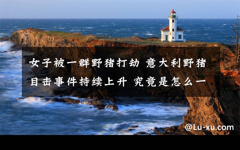 女子被一群野猪打劫 意大利野猪目击事件持续上升 究竟是怎么一回事?