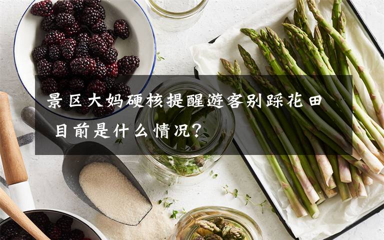 景区大妈硬核提醒游客别踩花田 目前是什么情况?