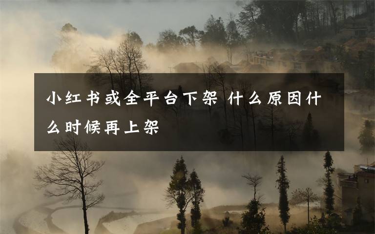 小红书或全平台下架 什么原因什么时候再上架