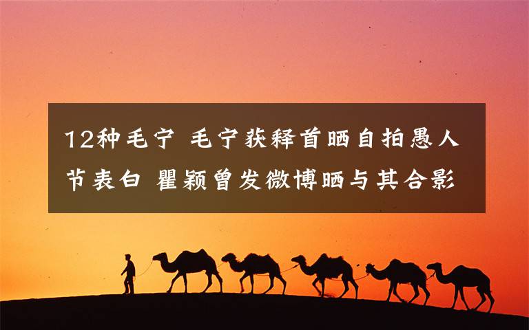 12种毛宁 毛宁获释首晒自拍愚人节表白 瞿颖曾发微博晒与其合影