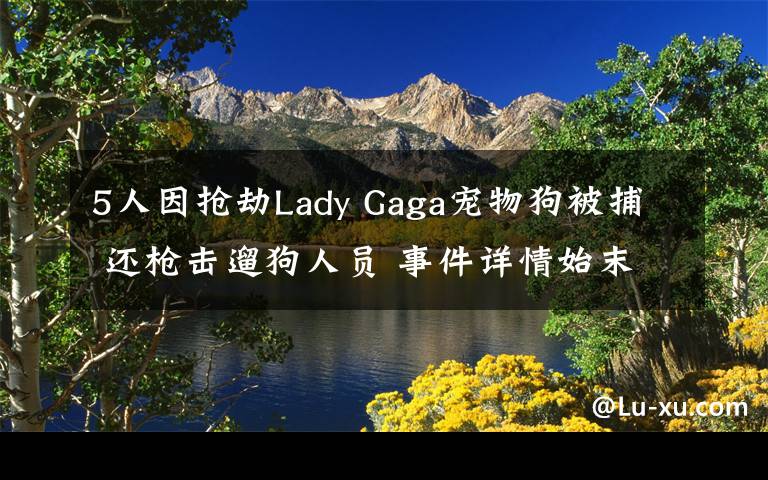 5人因抢劫Lady Gaga宠物狗被捕 还枪击遛狗人员 事件详情始末介绍!