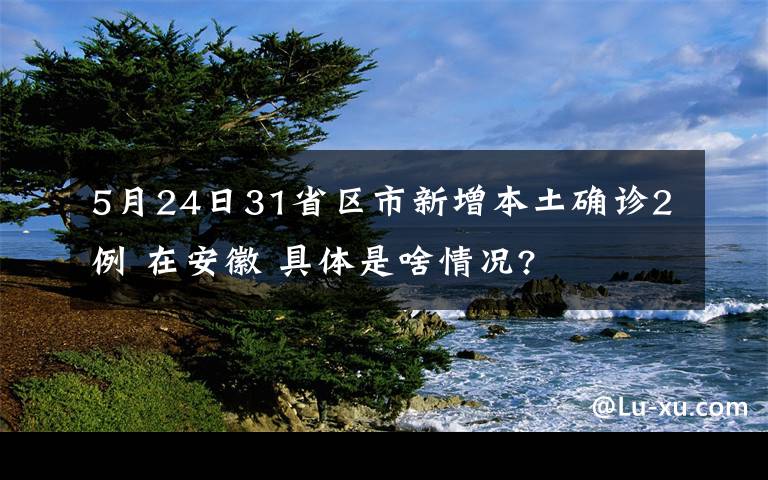5月24日31省区市新增本土确诊2例 在安徽 具体是啥情况?