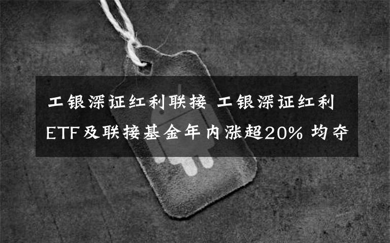 工银深证红利联接 工银深证红利ETF及联接基金年内涨超20% 均夺同类冠军