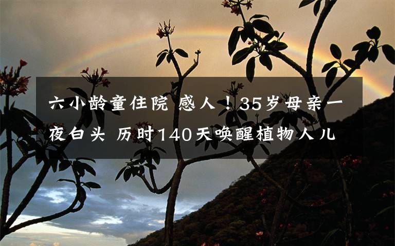 六小龄童住院 感人!35岁母亲一夜白头 历时140天唤醒植物人儿子见证奇迹