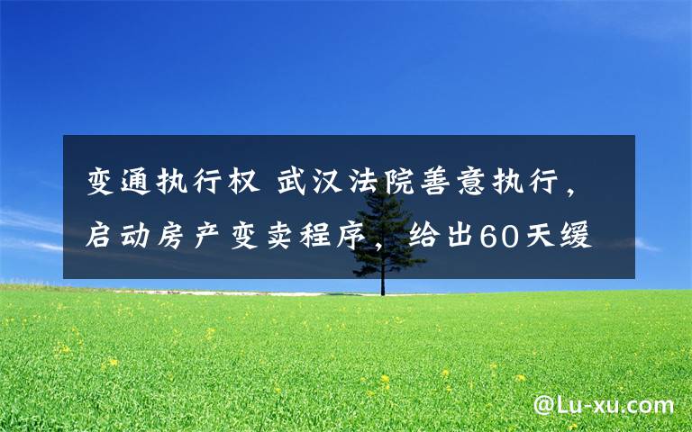 变通执行权 武汉法院善意执行，启动房产变卖程序，给出60天缓冲期帮助企业渡难关