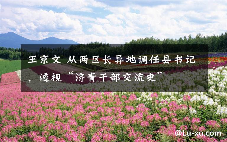 王京文 从两区长异地调任县书记,透视“济青干部交流史”