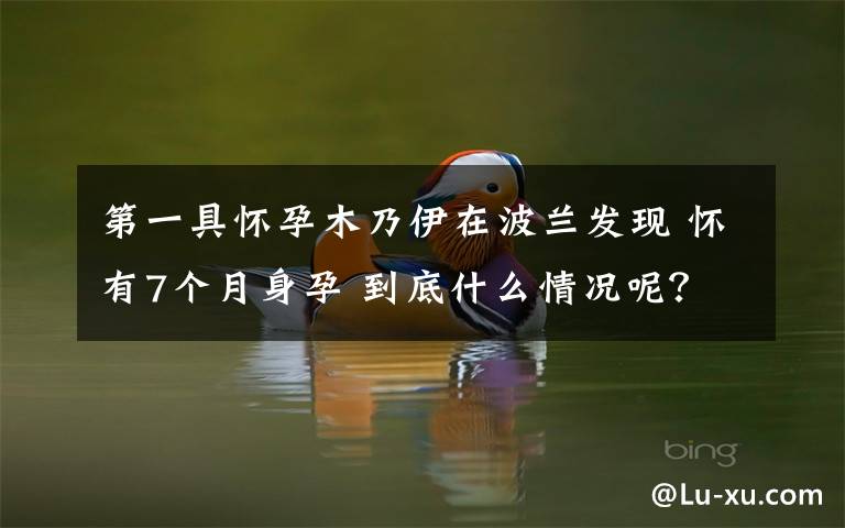 第一具怀孕木乃伊在波兰发现 怀有7个月身孕 到底什么情况呢?