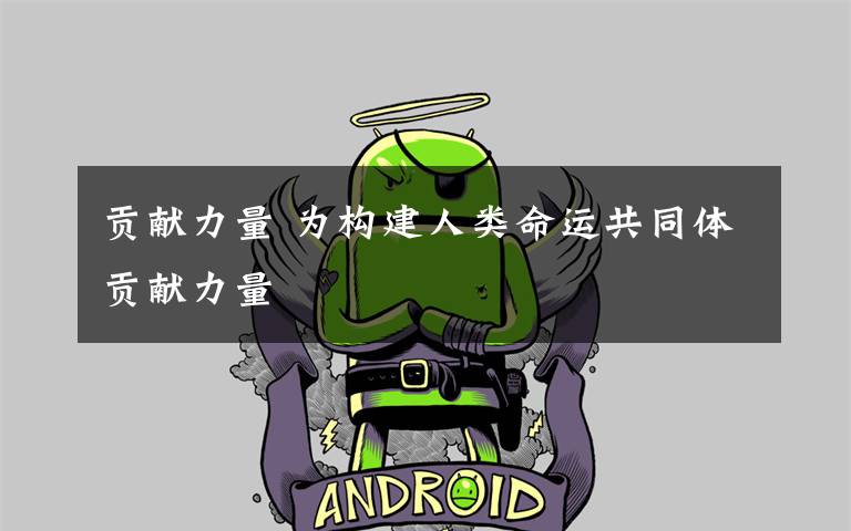 贡献力量 为构建人类命运共同体贡献力量