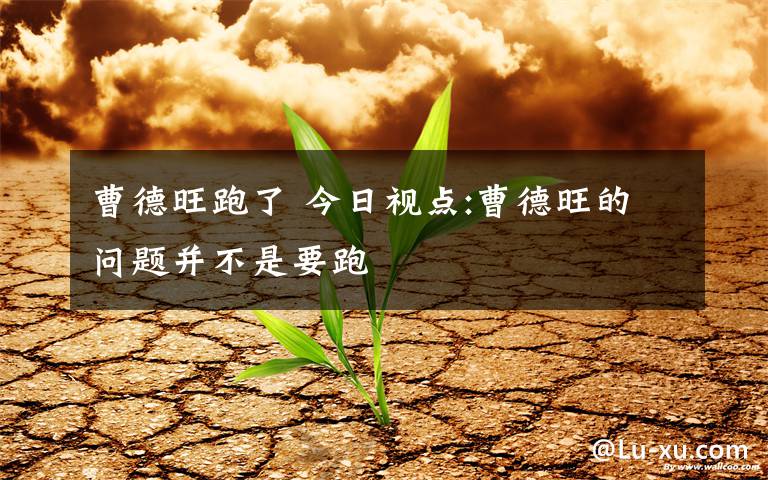 曹德旺跑了 今日视点:曹德旺的问题并不是要跑