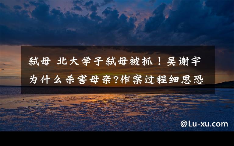 弑母 北大学子弑母被抓!吴谢宇为什么杀害母亲?作案过程细思恐极