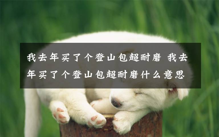 我去年买了个登山包超耐磨 我去年买了个登山包超耐磨什么意思