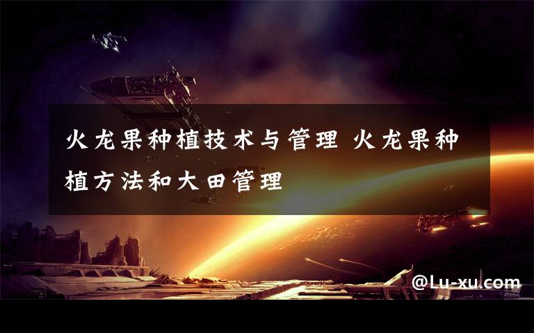 火龙果种植技术与管理 火龙果种植方法和大田管理