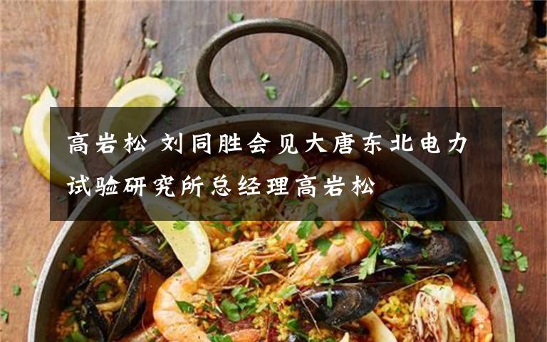 高岩松 刘同胜会见大唐东北电力试验研究所总经理高岩松