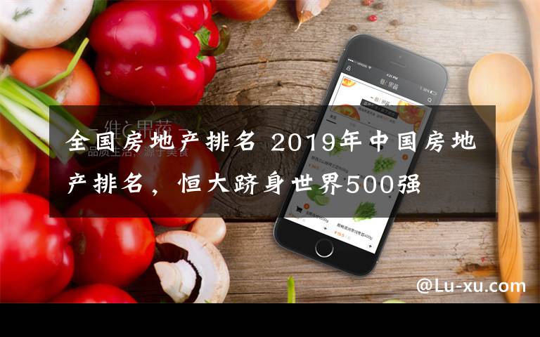 全国房地产排名 2019年中国房地产排名，恒大跻身世界500强
