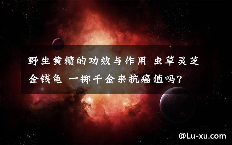 野生黄精的功效与作用 虫草灵芝金钱龟 一掷千金来抗癌值吗?