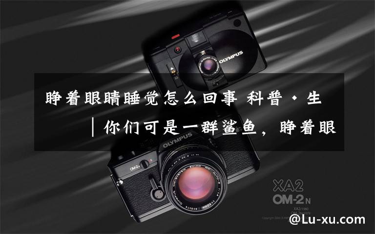 睁着眼睛睡觉怎么回事 科普·生态︱你们可是一群鲨鱼,睁着眼睛聚众睡觉算怎么回事!